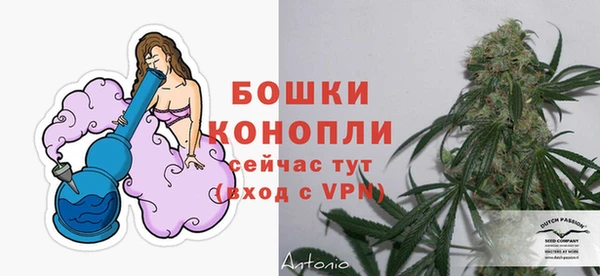 дживик Нязепетровск