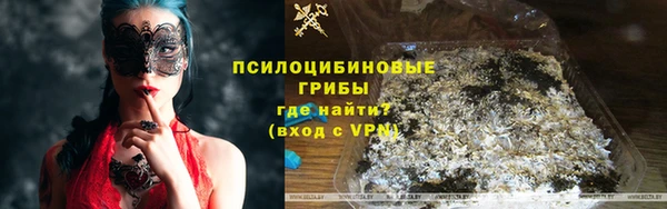 дживик Нязепетровск
