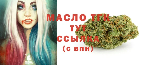 метадон Няндома